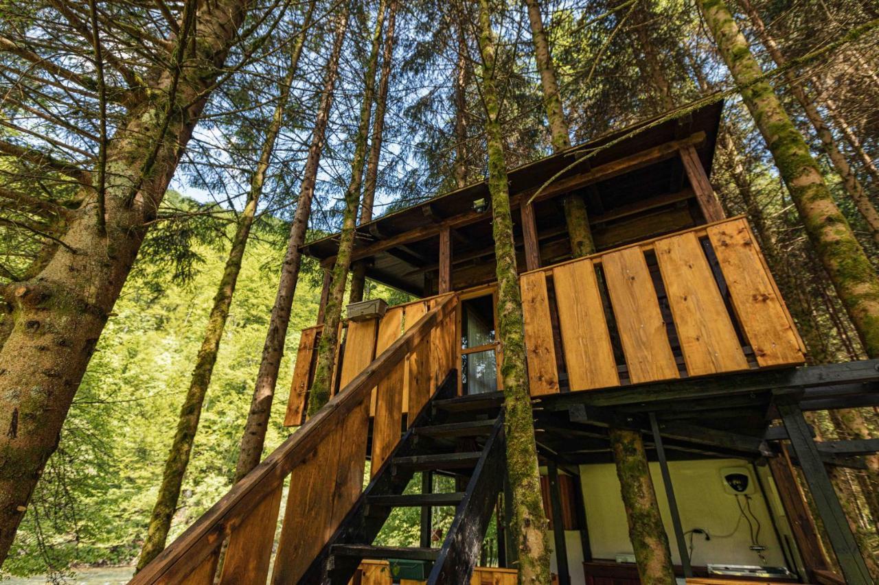 Treehouse Kupari Nacionalni Park Risnjak Cabar ภายนอก รูปภาพ