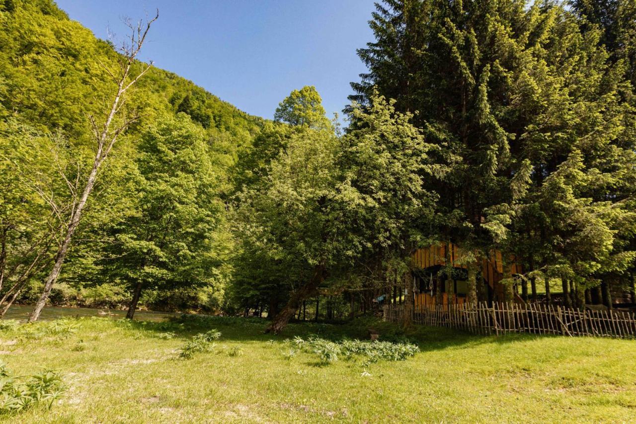 Treehouse Kupari Nacionalni Park Risnjak Cabar ภายนอก รูปภาพ