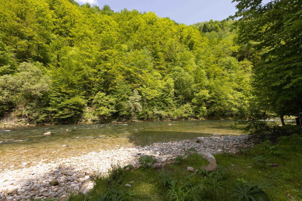 Treehouse Kupari Nacionalni Park Risnjak Cabar ภายนอก รูปภาพ