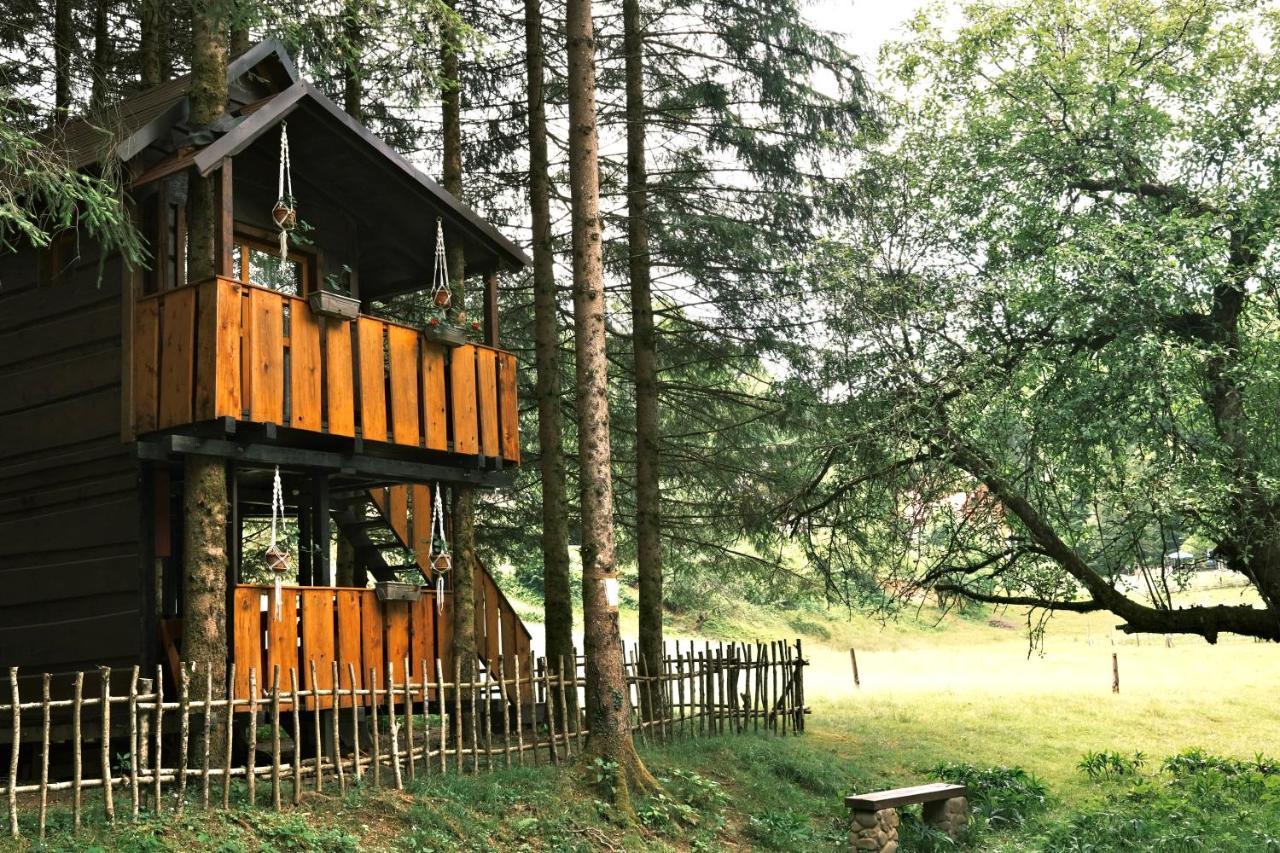Treehouse Kupari Nacionalni Park Risnjak Cabar ภายนอก รูปภาพ