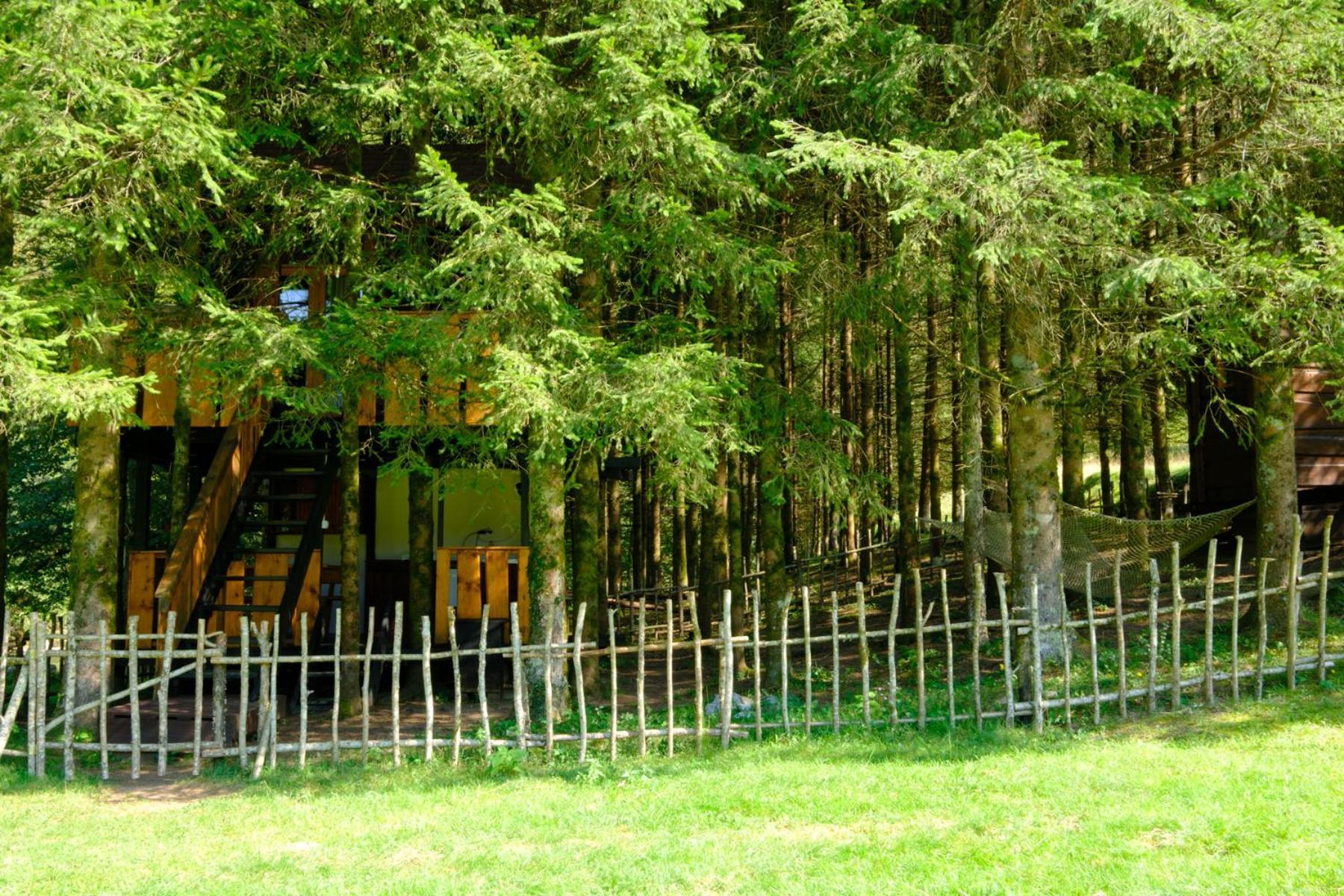 Treehouse Kupari Nacionalni Park Risnjak Cabar ภายนอก รูปภาพ