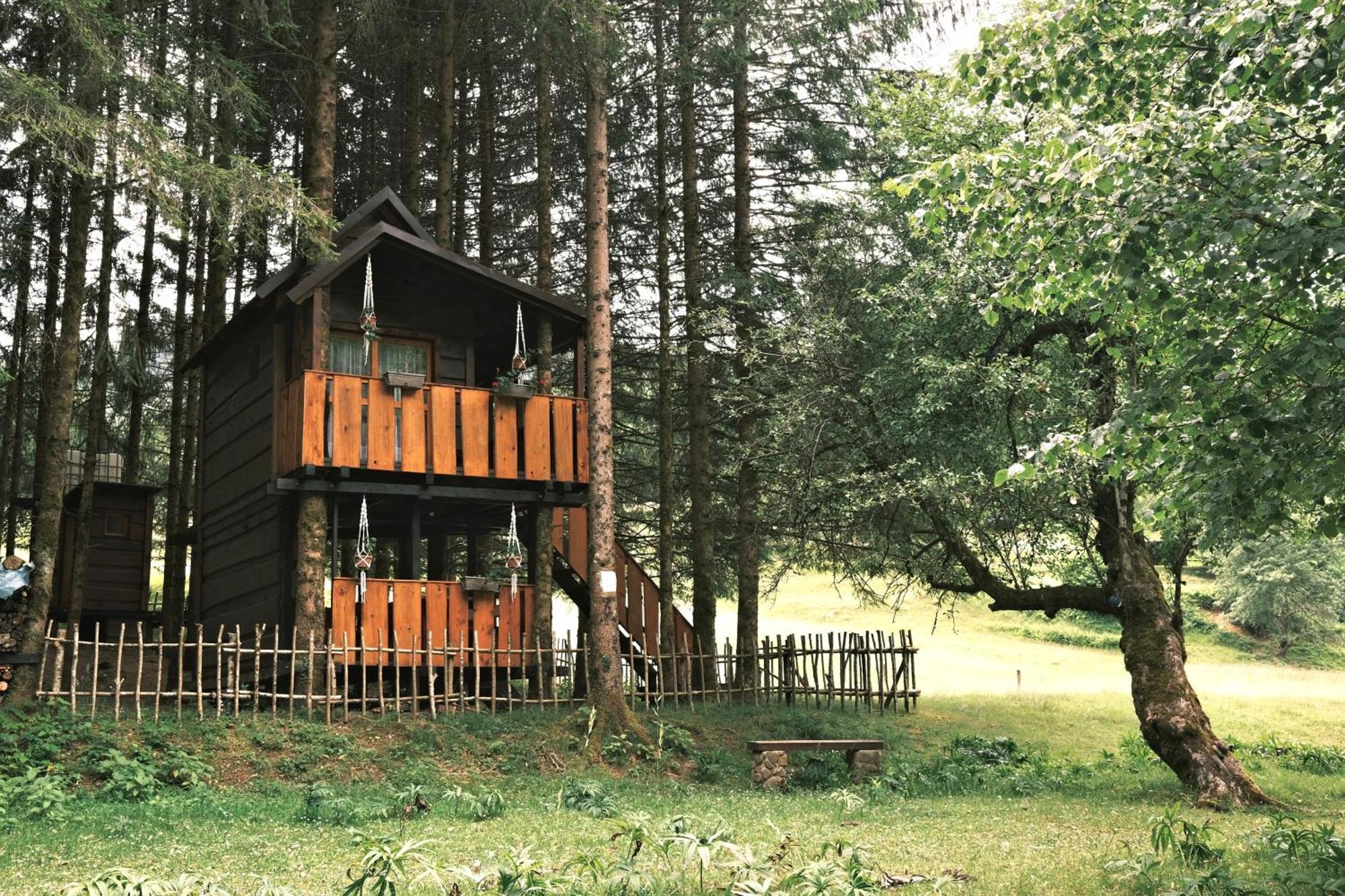 Treehouse Kupari Nacionalni Park Risnjak Cabar ภายนอก รูปภาพ